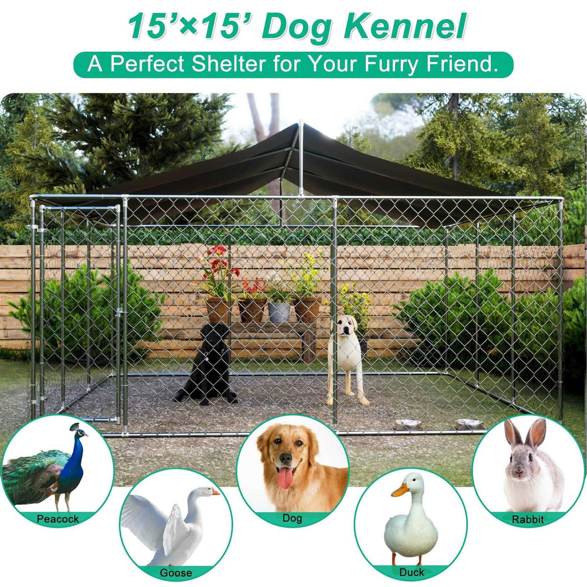 15 x 15ft Dog Kennel Y32807