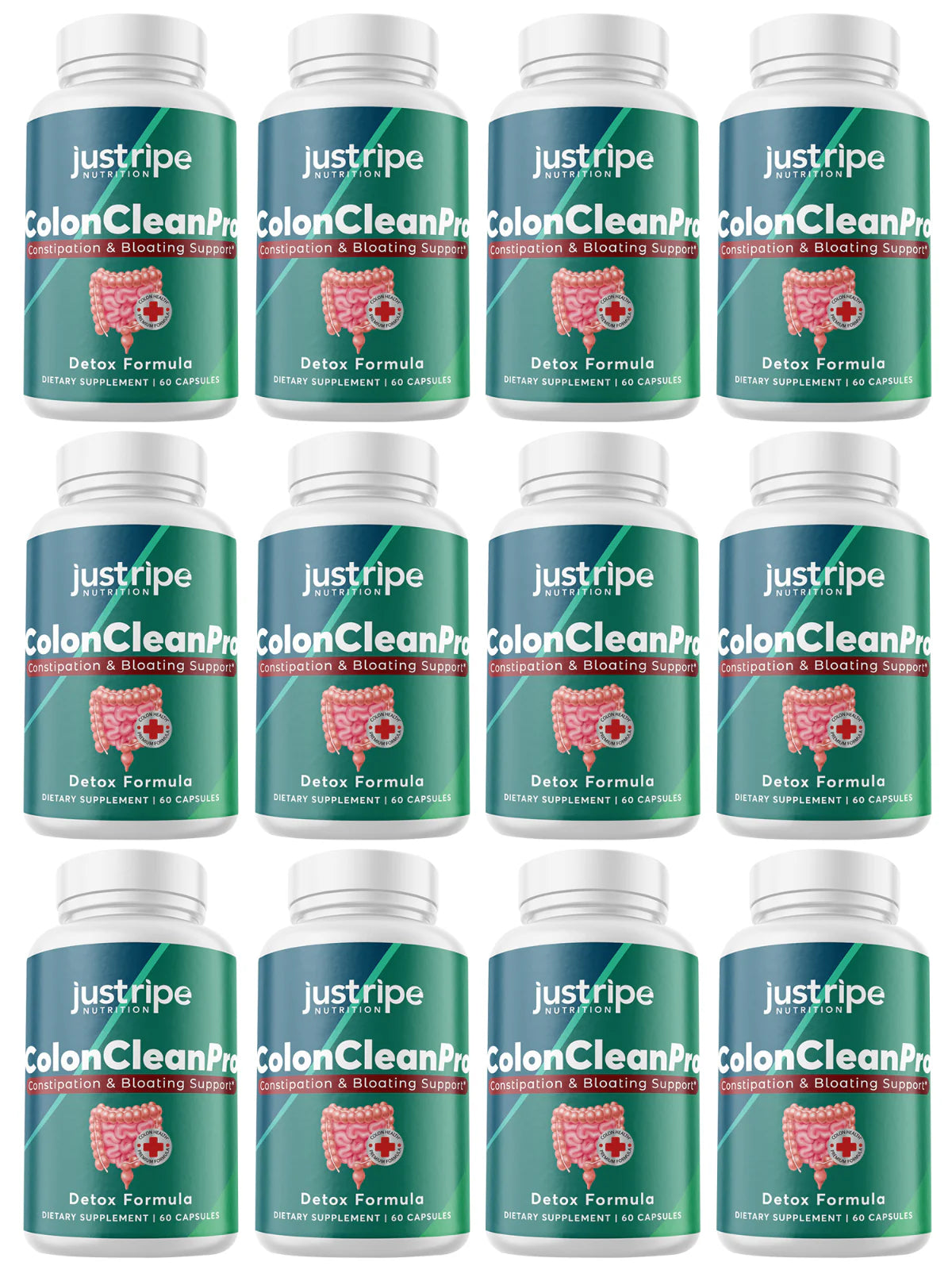 12 Pack Natural Digestive Support Supplement 60ct T139