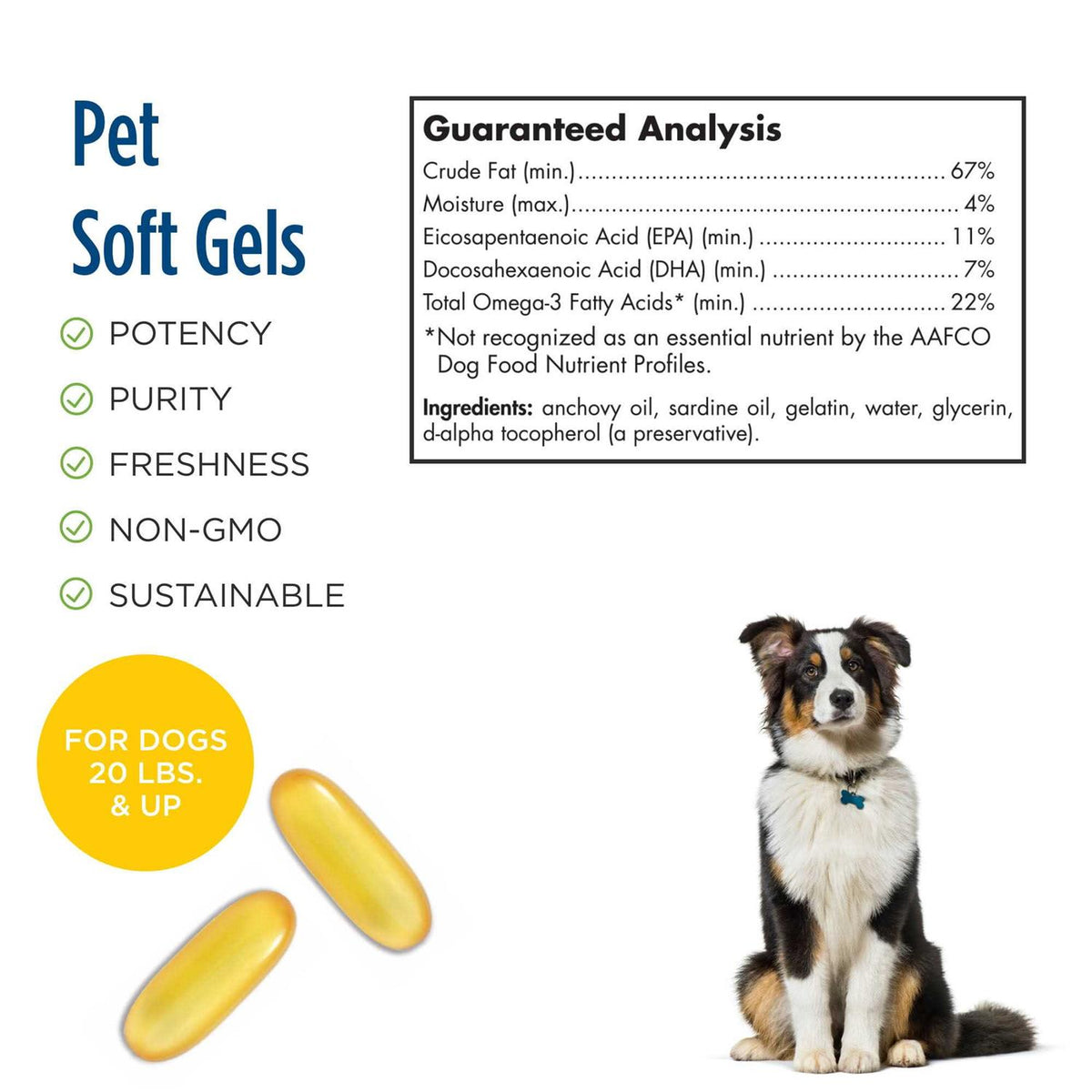 Omega 3 Pet C6461