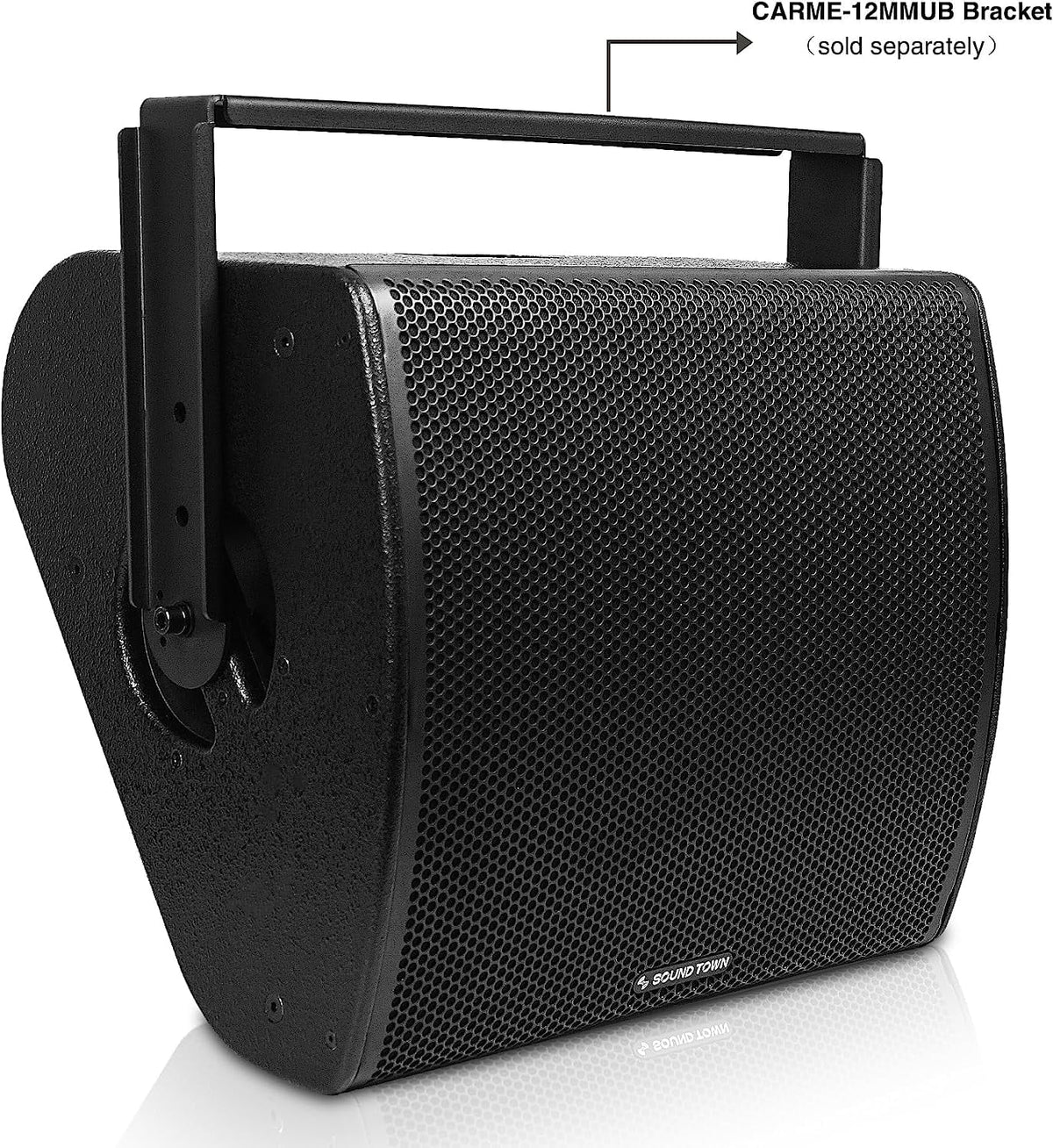 12" Multipurpose Loudspeaker with Coaxial Compression Driver, Birch Plywood, Black X33486