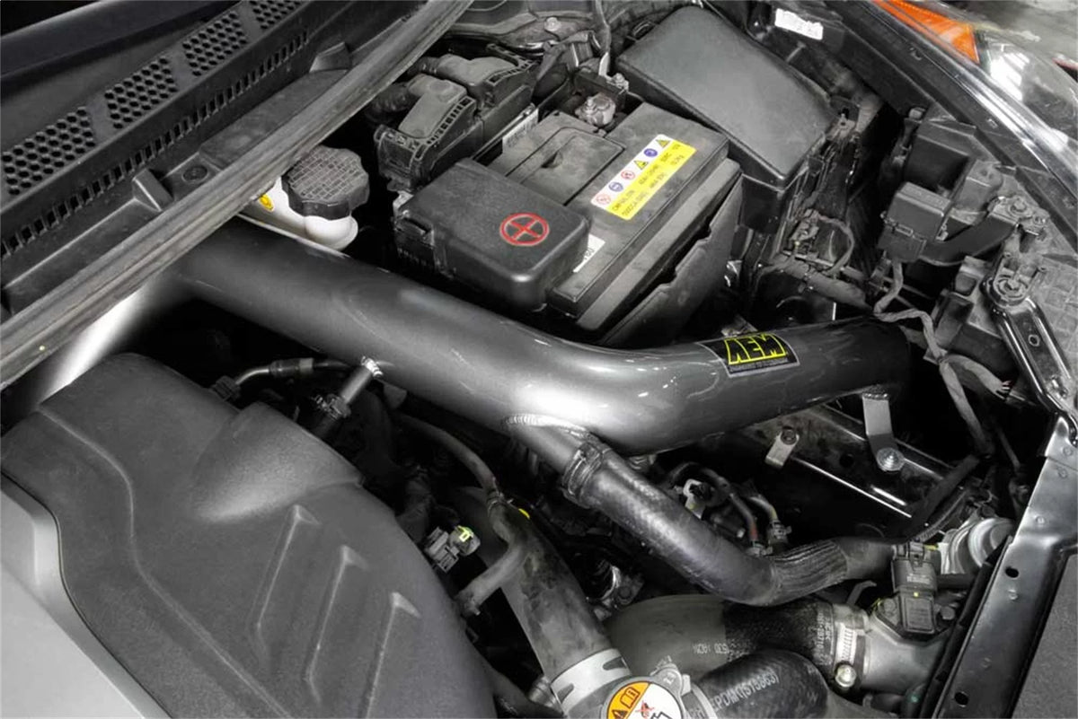 Cold Air Induction System G21093