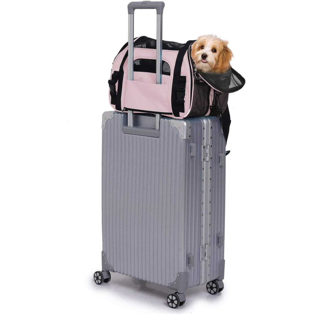 Soft Pet Carrier Y551492