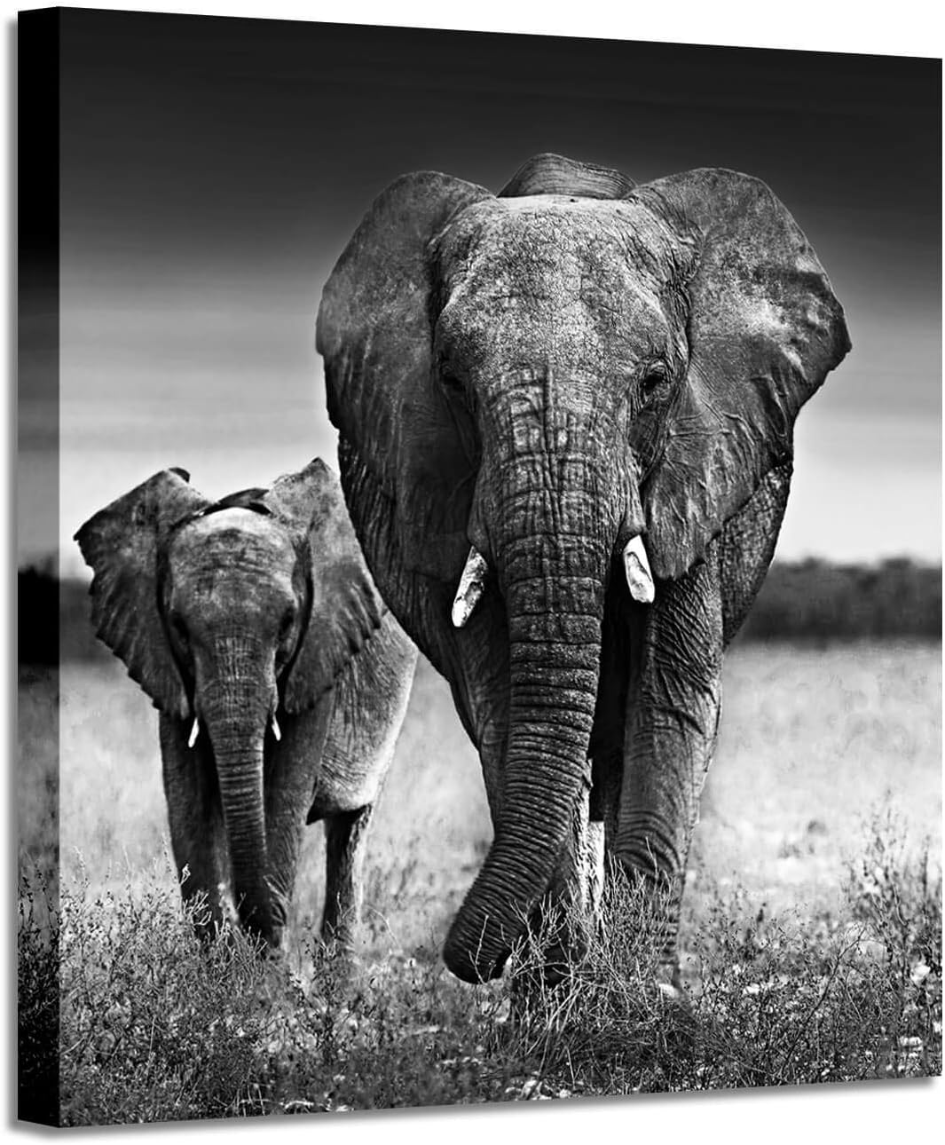 Black and White Elephant Mama and Baby Print on Canvas Wall Decor K7517